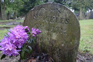 sarah pickles grave thornton 1 sm.jpg